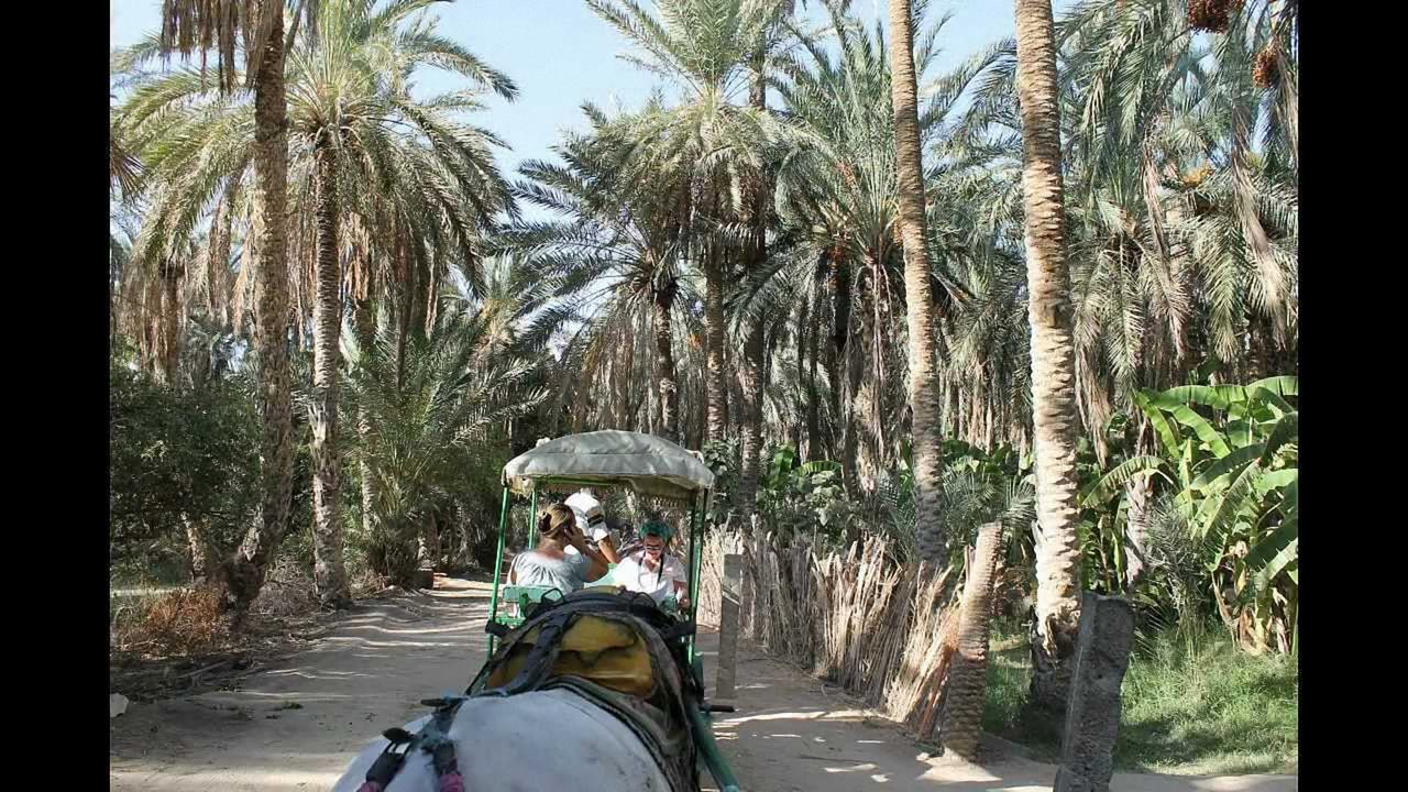 Dar Ezzahra Villa Tozeur Buitenkant foto